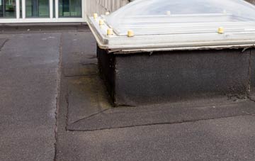 disadvantages of Hanchett Village flat roofs