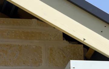 soffit repair Hanchett Village