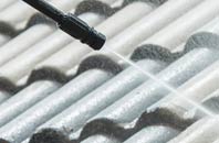 rated Hanchett Village roof cleaning companies